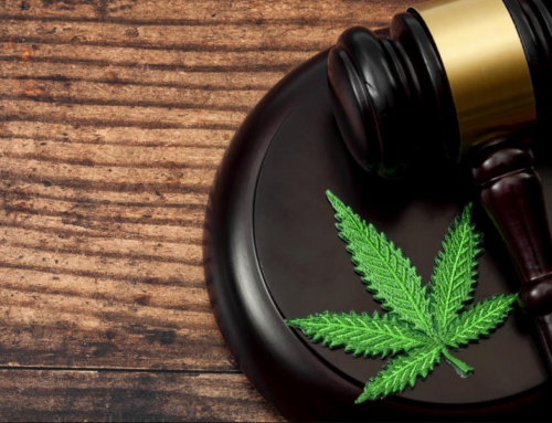 New Pre-Employment Cannabis Testing Law Starts in 2024
